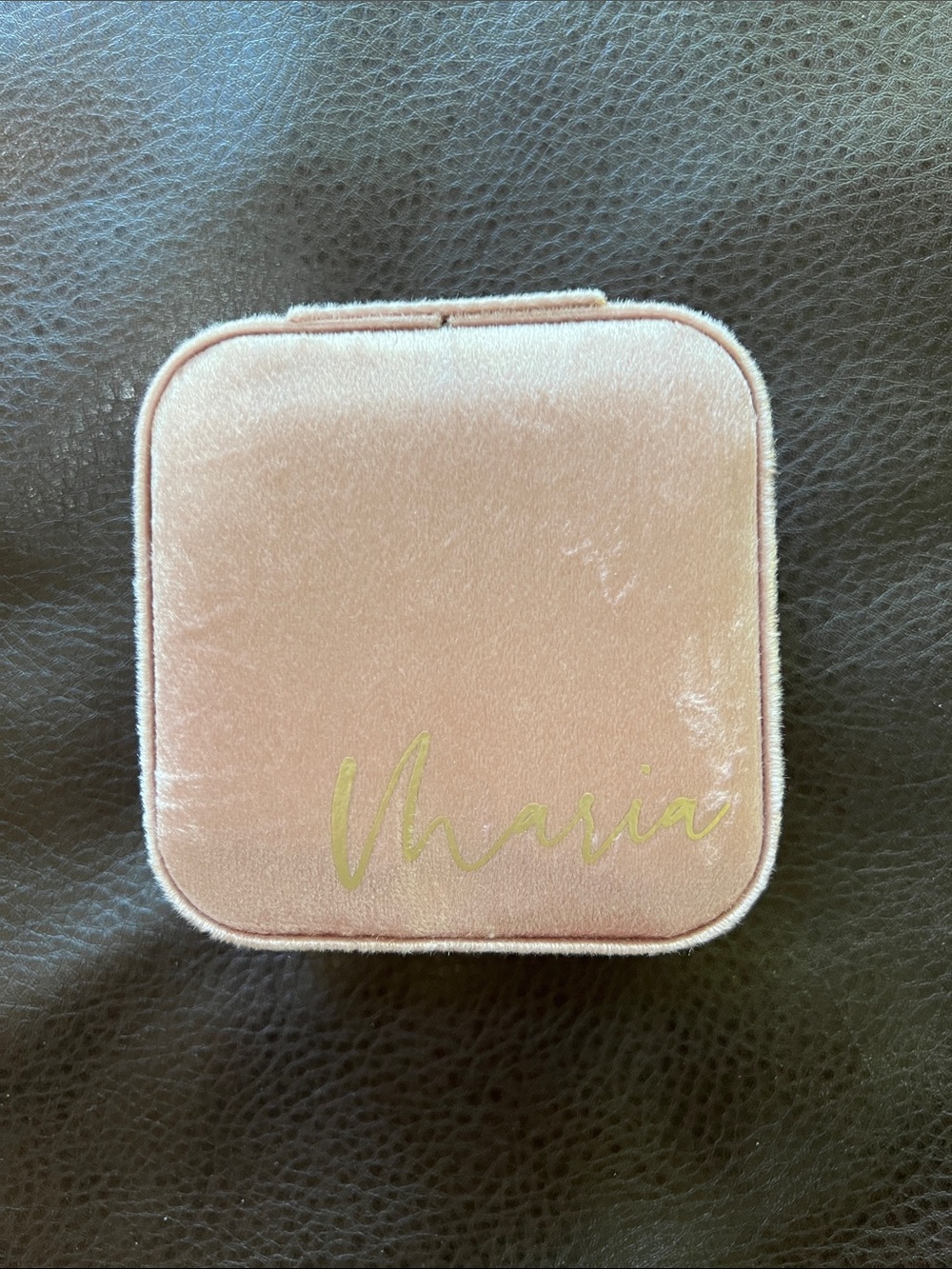 NWOT Velvet Travel Jewelry Case in Blush Pink with Gold Script